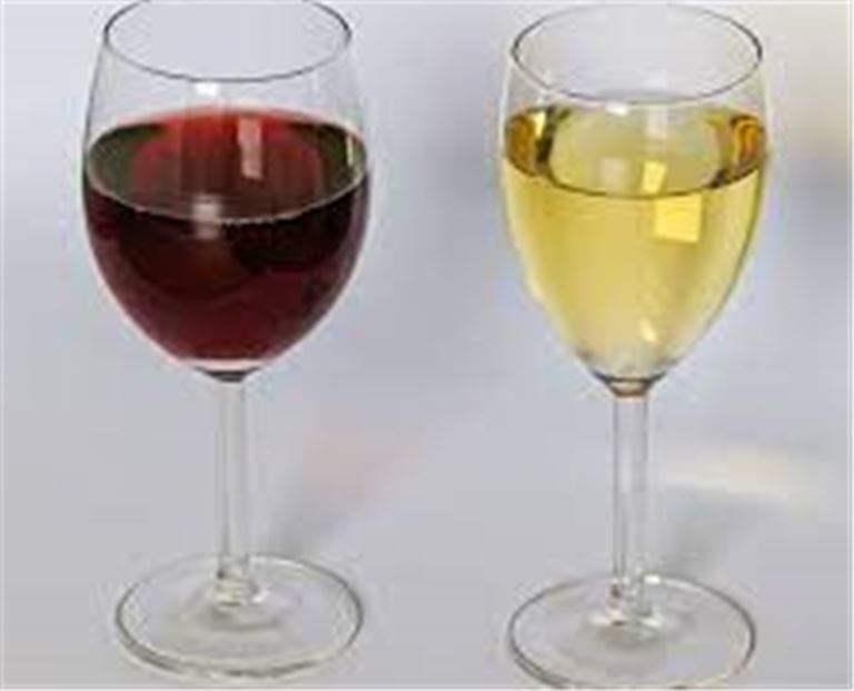 Upscale Wine shop with Bistro